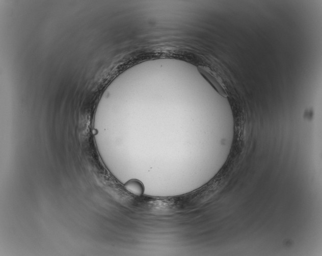 X0000114690660200911121519