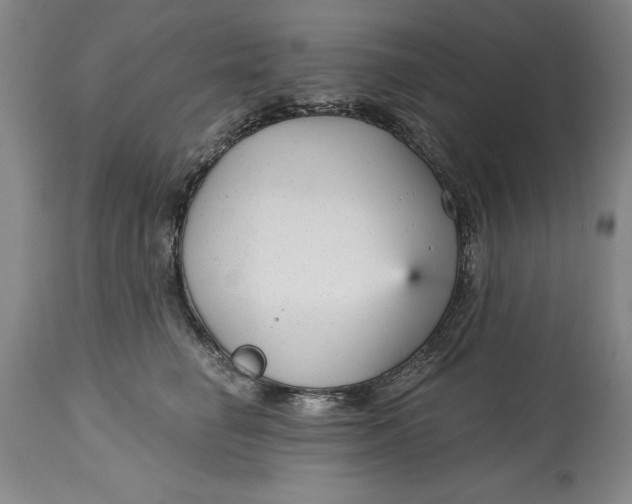 X0000114690662200911121519