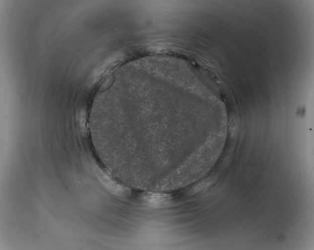 X0000114690670200911121519