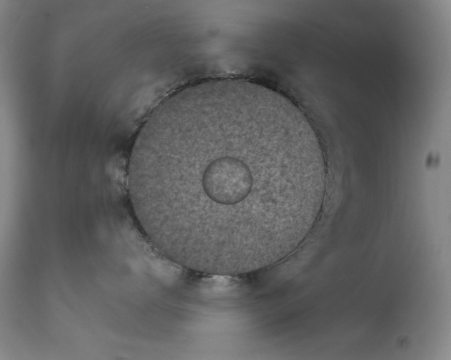 X0000114690672200911121519