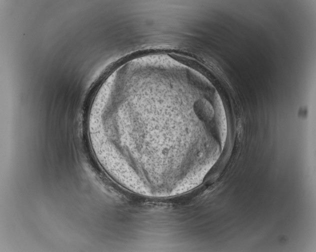 X0000114690676200911121519