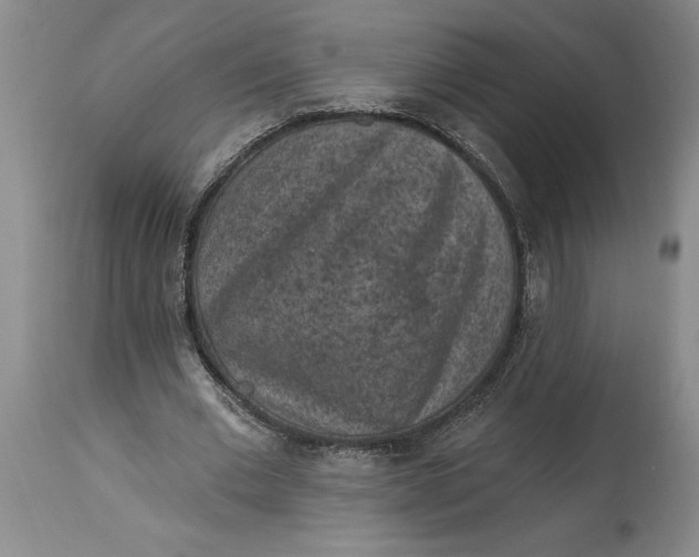 X0000114690677200911121519