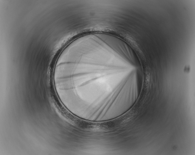 X0000114690678200911121519