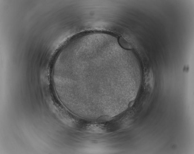 X0000114690680200911121519