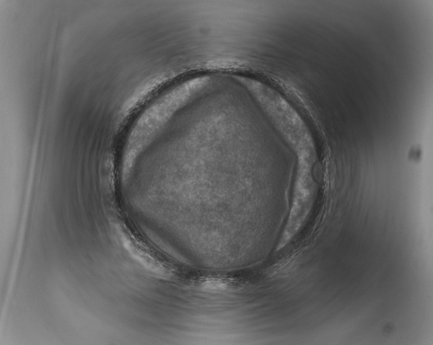 X0000114690684200911121519