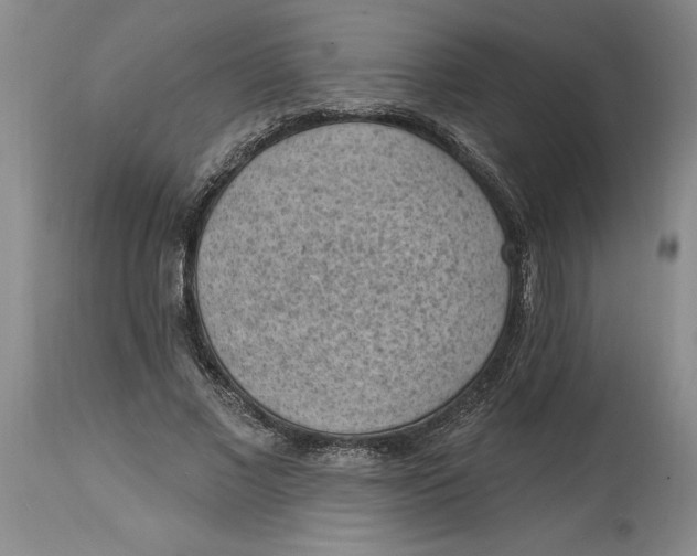 X0000114690685200911121519