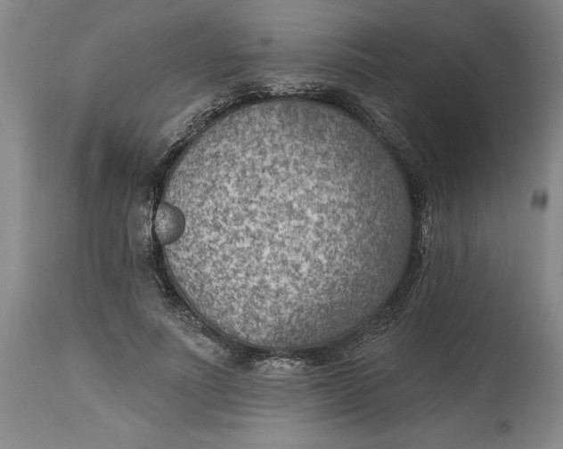 X0000114690691200911121519