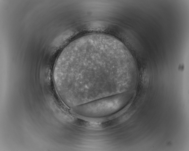 X0000114690692200911121519