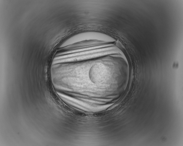 X0000114690696200911121519