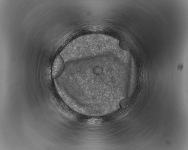 X0000114690700200911121518