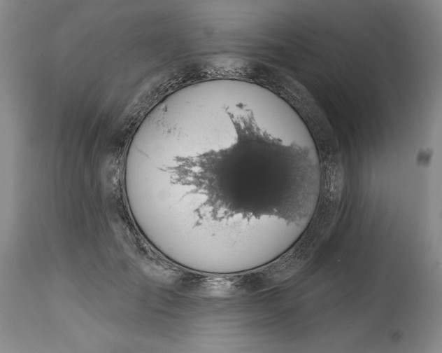 X0000114690701200911121518