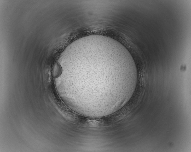 X0000114690703200911121518