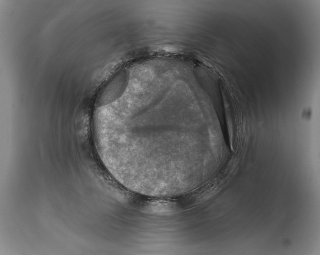 X0000114690708200911121518