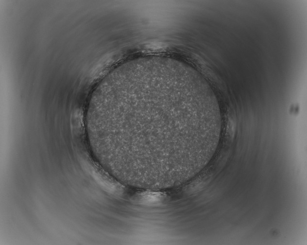 X0000114690711200911121518