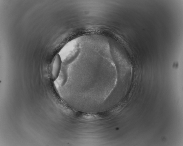 X0000114690712200911121518