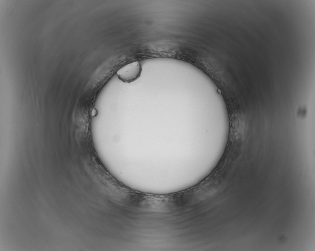 X0000114690713200911121518