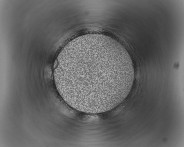 X0000114690715200911121518