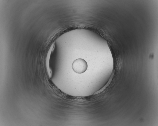 X0000114690716200911121518