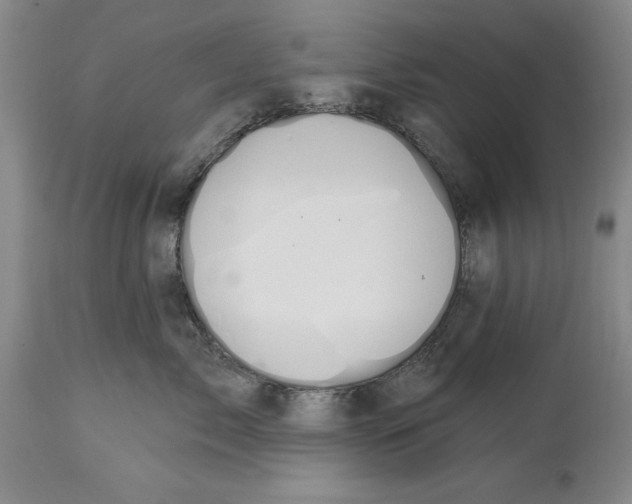 X0000114690717200911121518