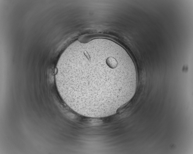 X0000114690719200911121518