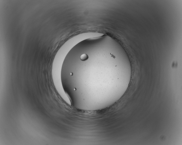 X0000114690720200911121518