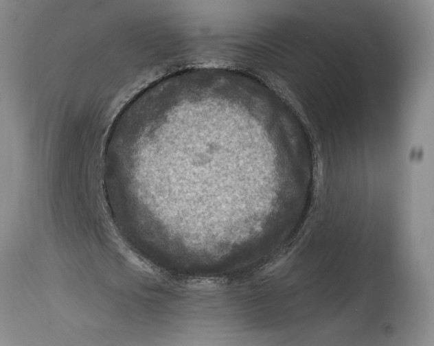 X0000114690721200911121518