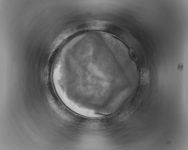 X0000114690726200911121518