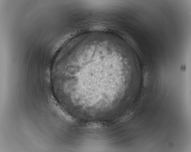 X0000114690729200911121518