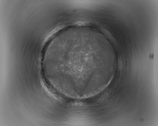 X0000114690730200911121518