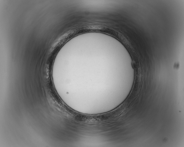 X0000114690731200911121518