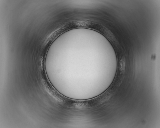 X0000114690733200911121518