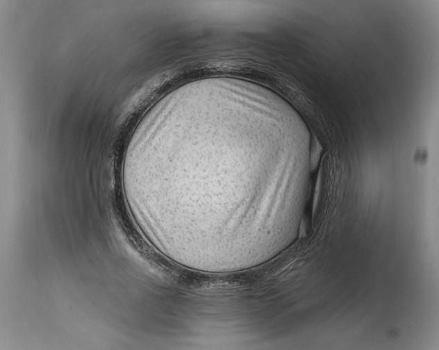 X0000114690734200911121518