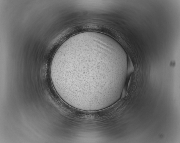 X0000114690735200911121518