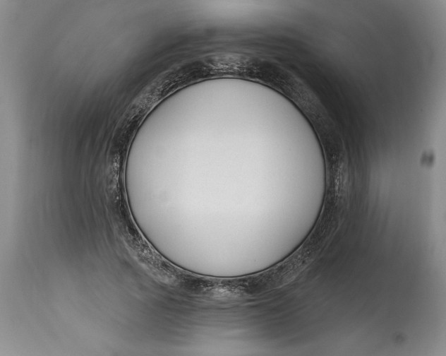 X0000114690737200911121518