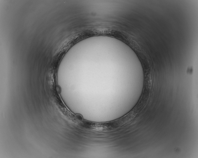 X0000114690746200911121518