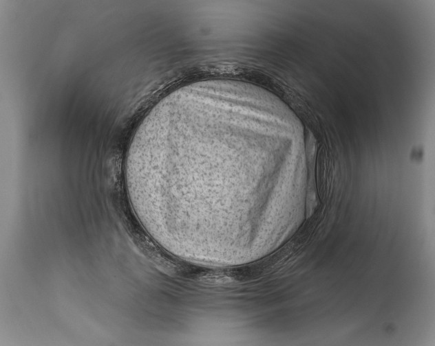 X0000114690747200911121518