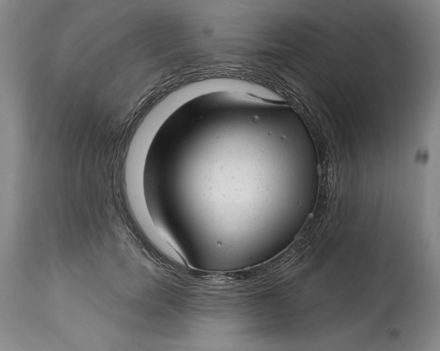 X0000114690750200911121518