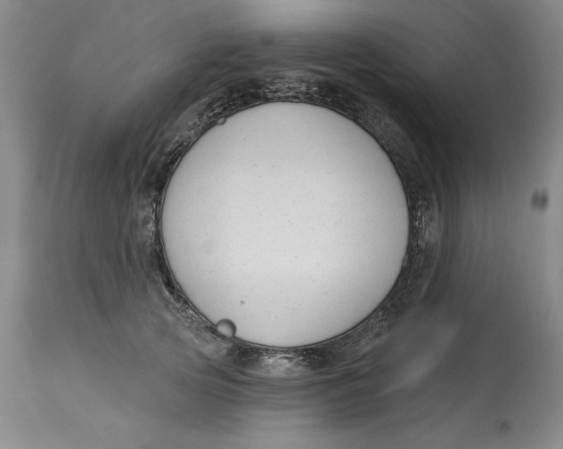 X0000114690753200911121518