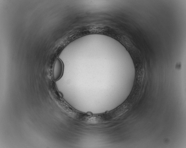 X0000114690755200911121518