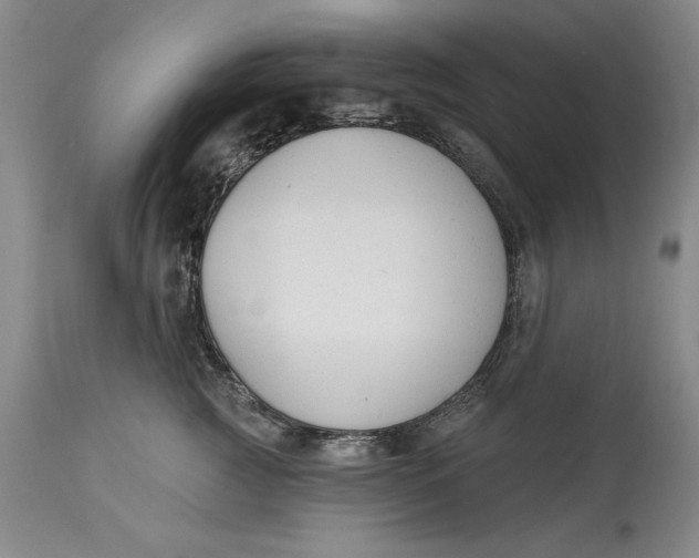 X0000114690761200911121518