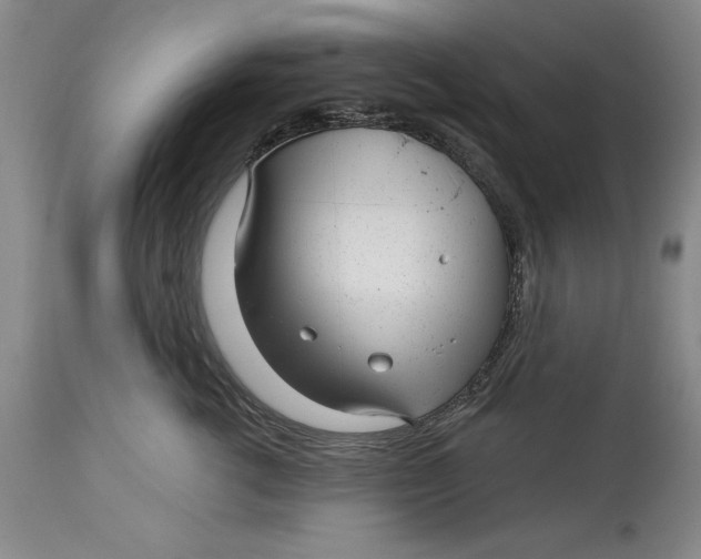 X0000114690762200911121518