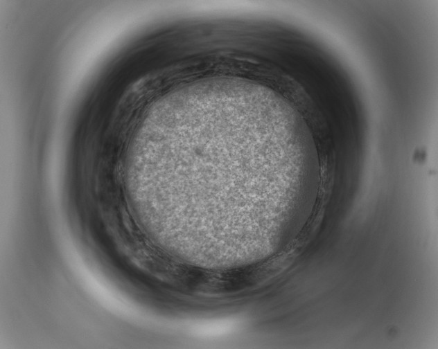 X0000114690765200911121518