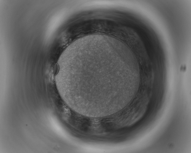 X0000114690766200911121518