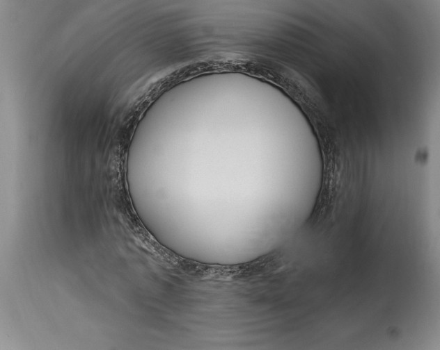 X0000114690773200911121517