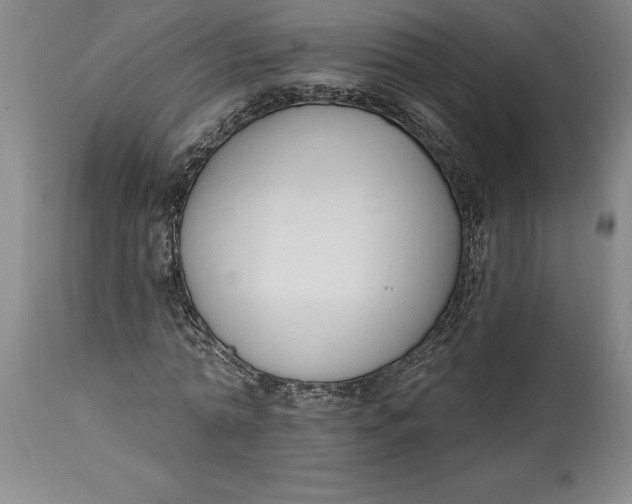 X0000114690774200911121517