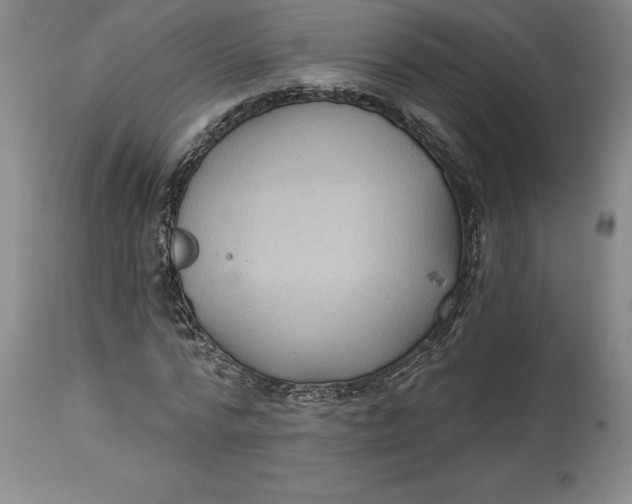 X0000114690776200911121517