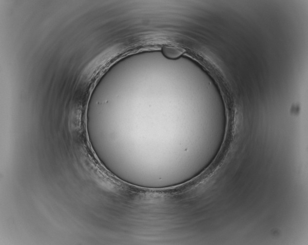 X0000114690777200911121517