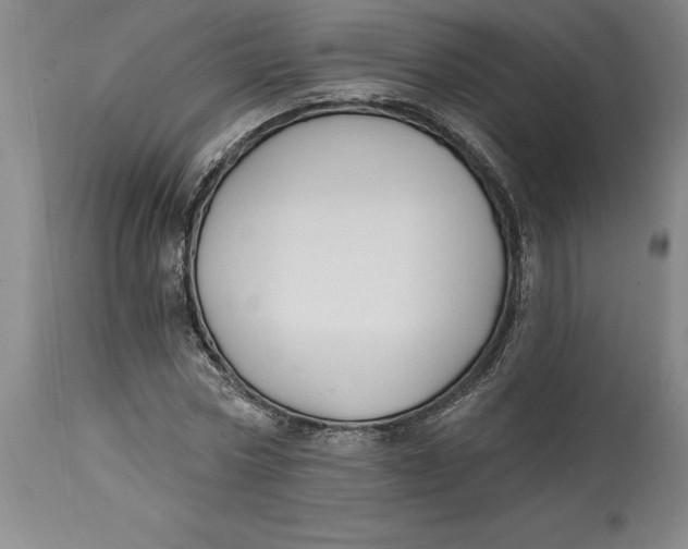 X0000114690778200911121517