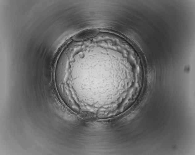 X0000114690781200911121517