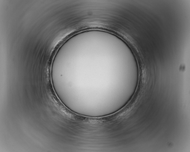 X0000114690782200911121517